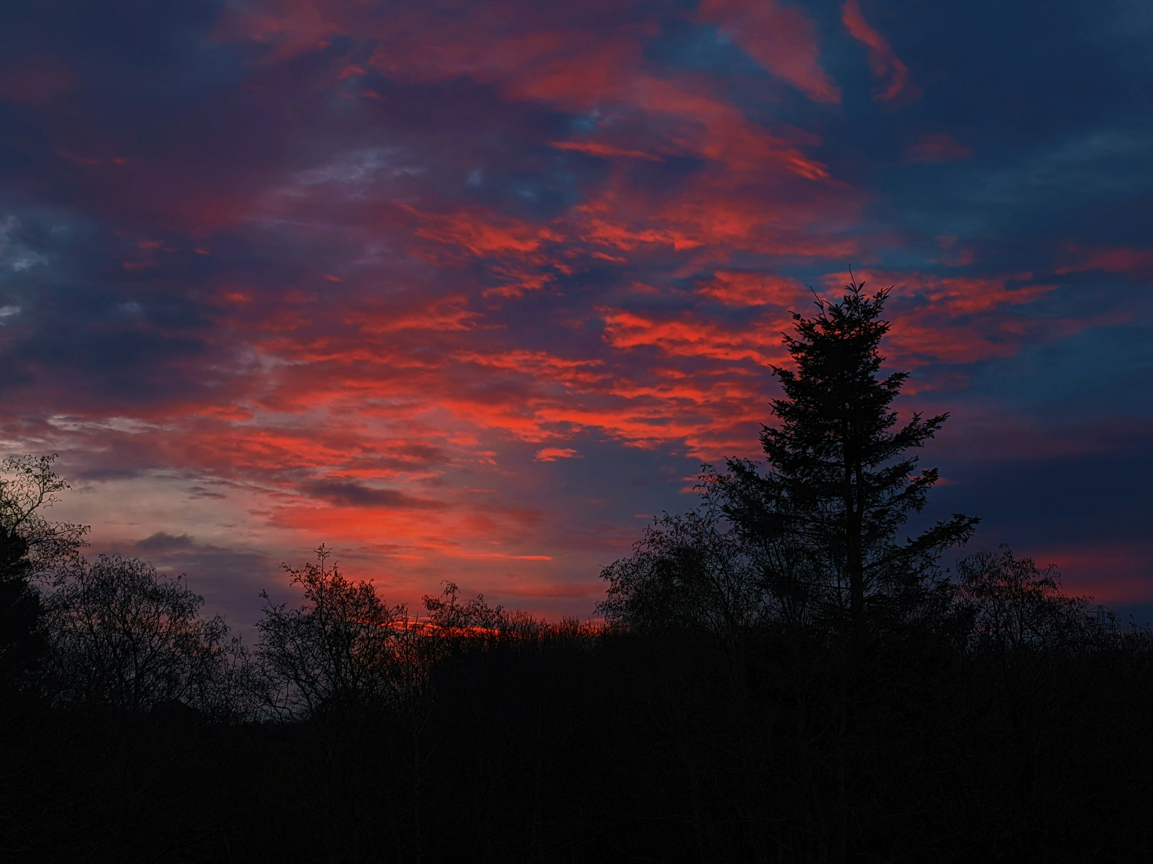 自然光で撮影された商品をスマホで撮影している手元の様子
