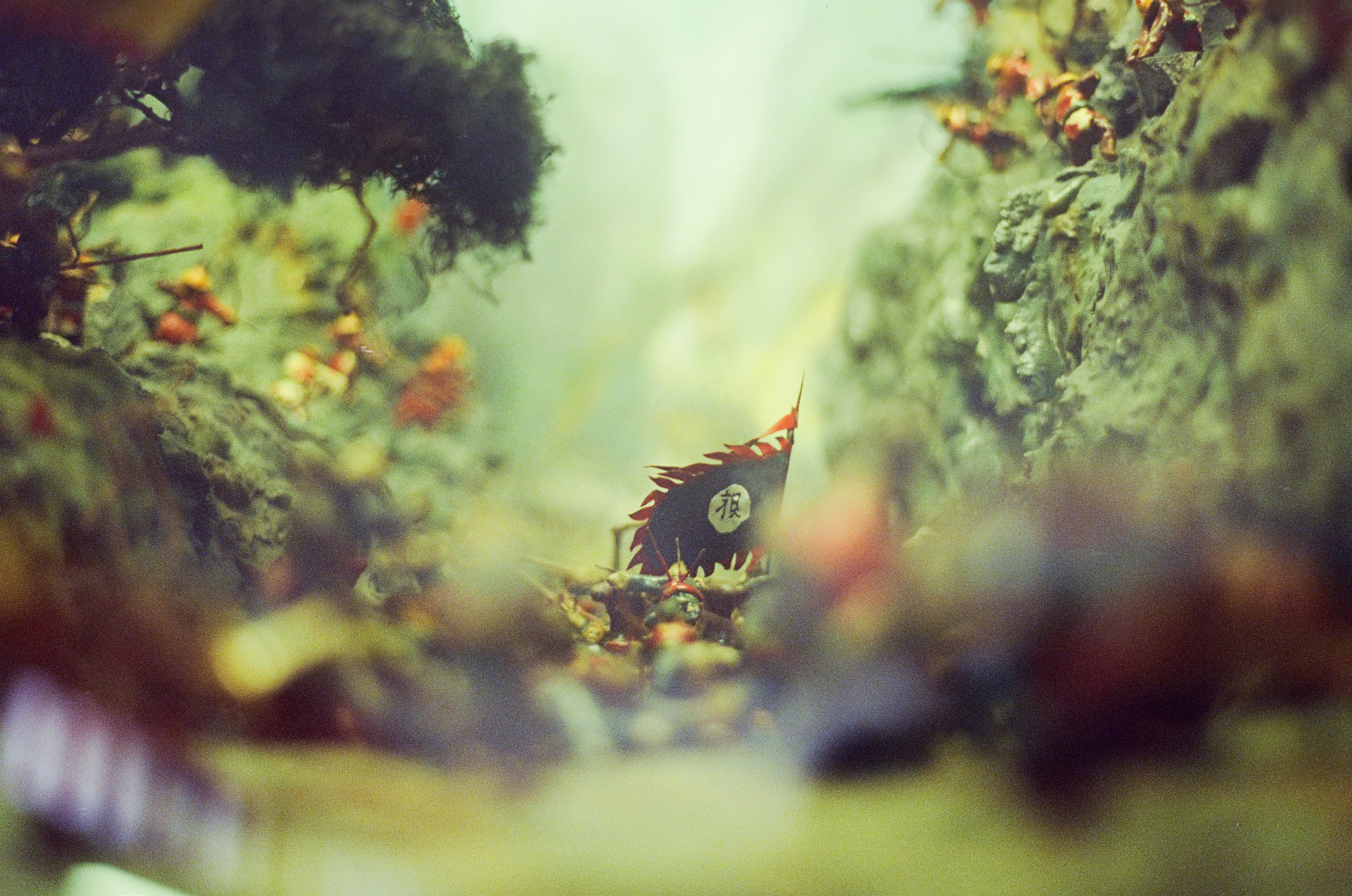 自然光の下で、生活感のある小物や衣類が丁寧に並べられた出品シーン