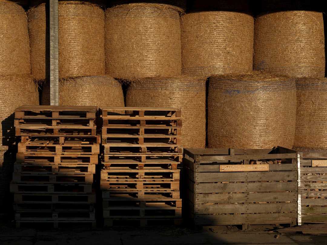 ブランドロゴが印刷されたダンボール箱に入った商品が、丁寧に緩衝材で保護されている様子